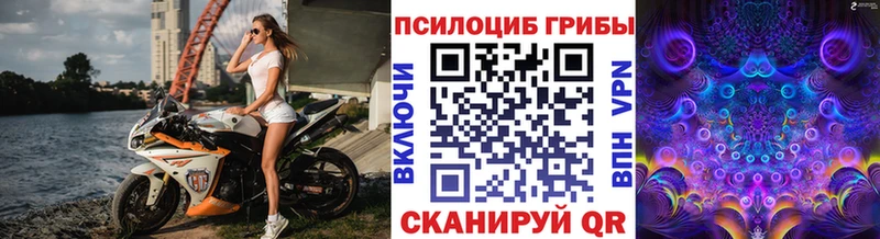Псилоцибиновые грибы Psilocybine cubensis  Унеча 